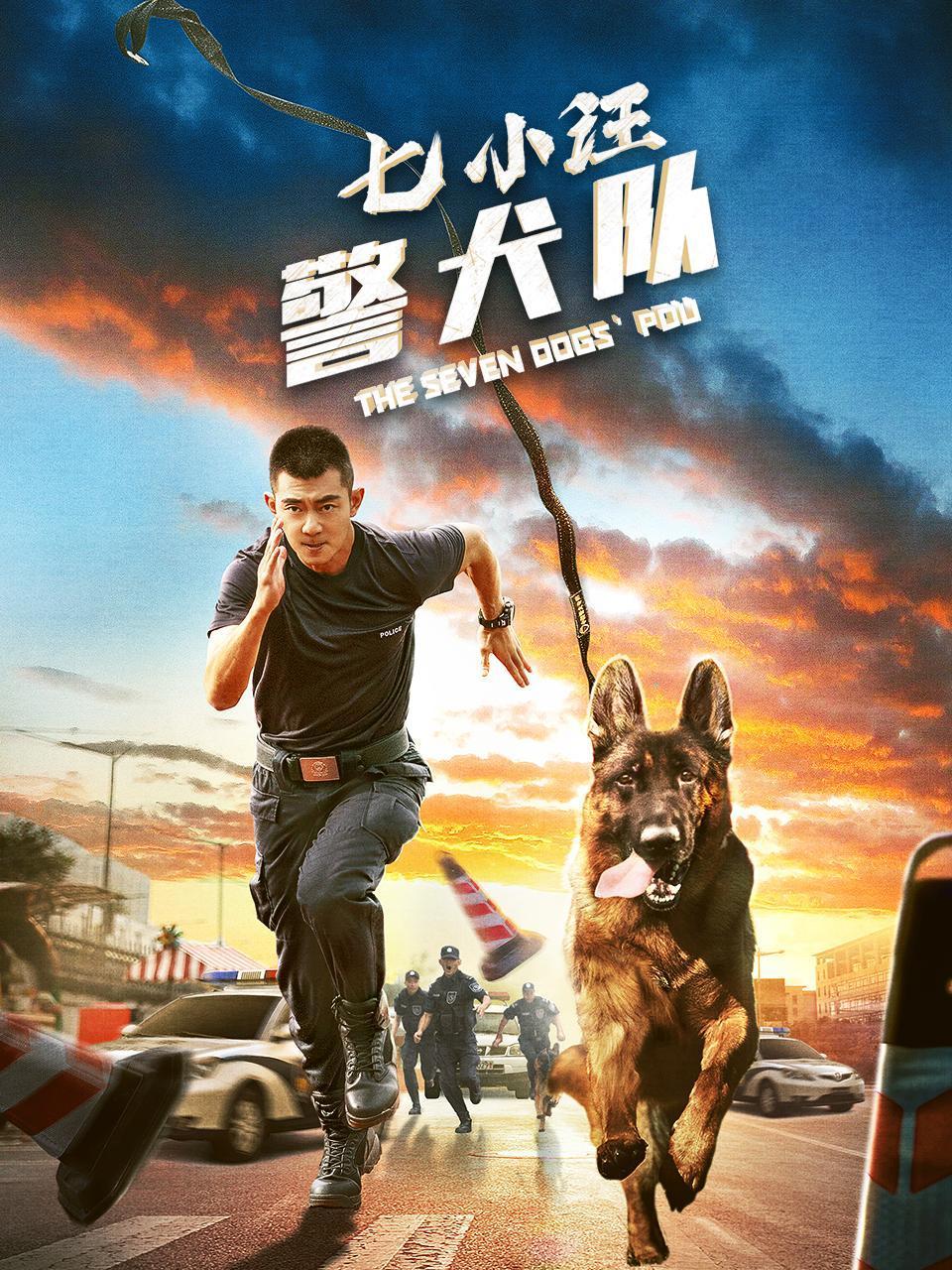 七小汪警犬队