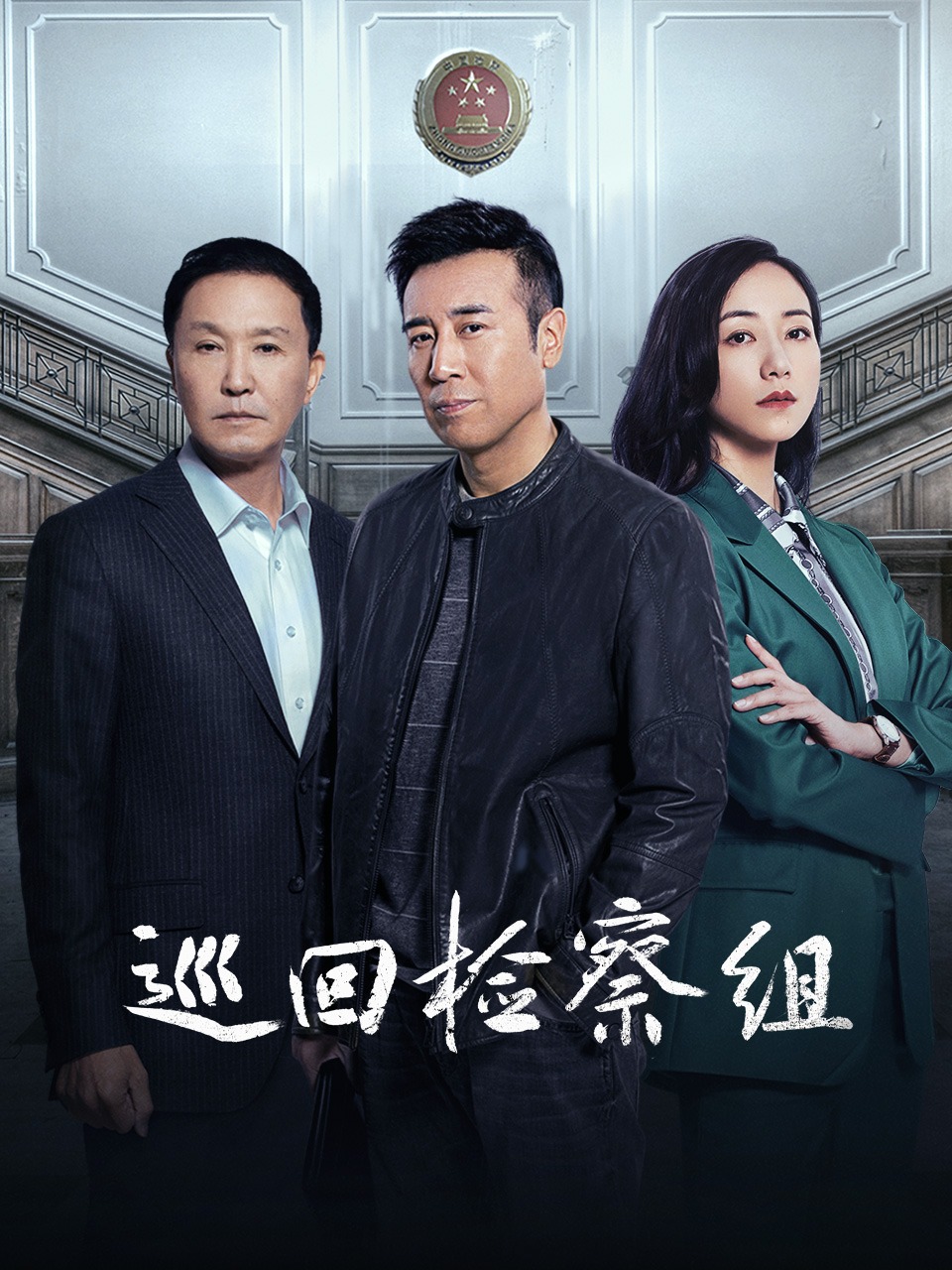 巡回检察组 TV版