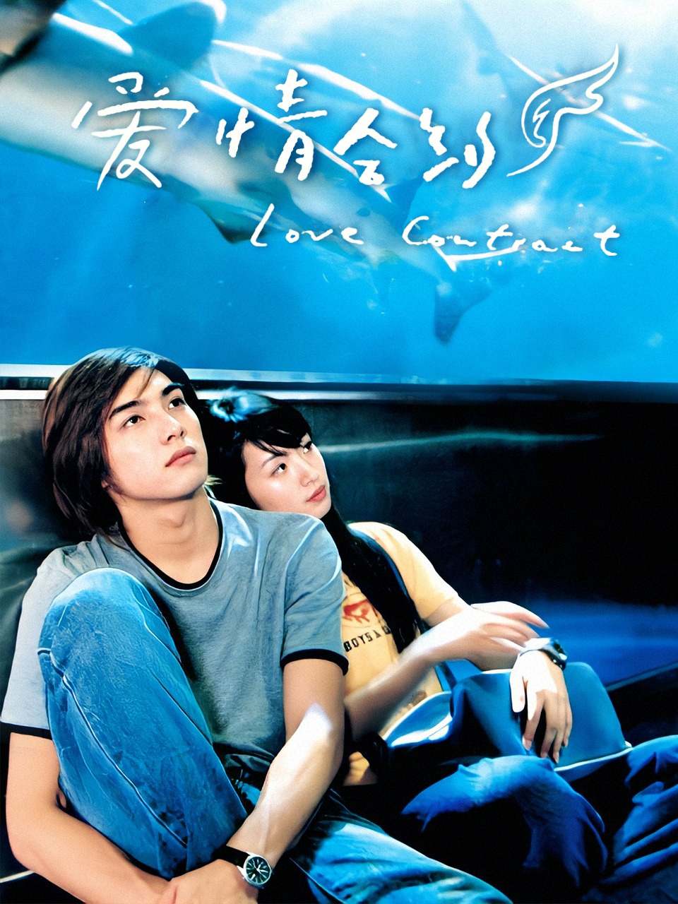 爱情合约