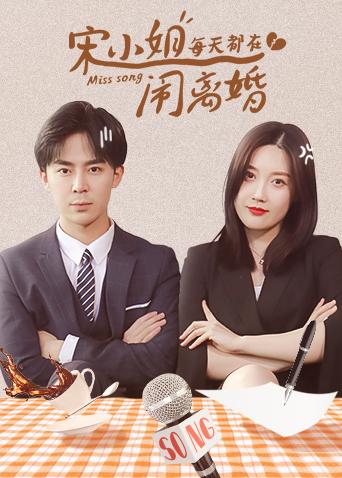 宋小姐每天都在闹离婚