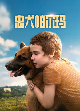 忠犬帕尔玛