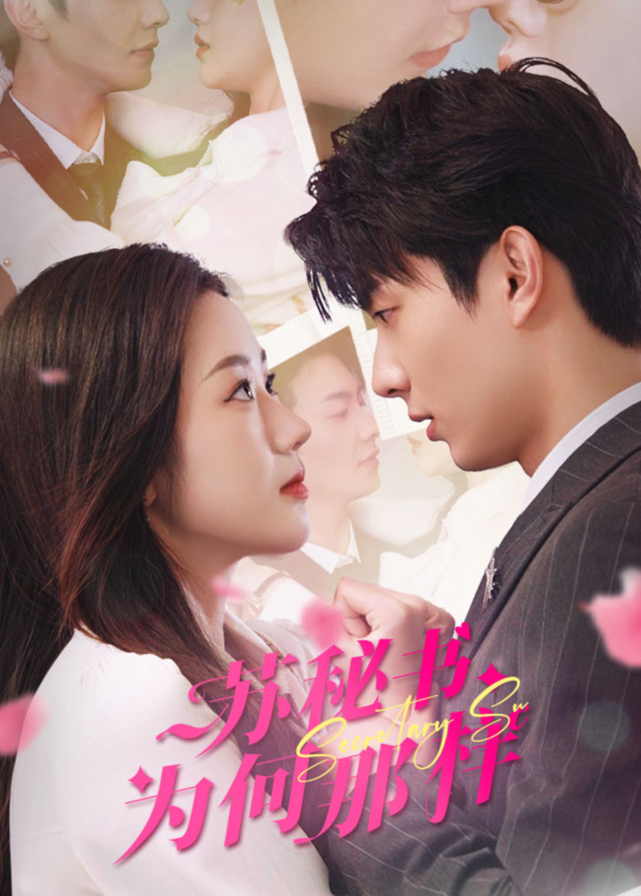 苏秘书为何那样