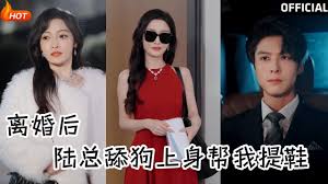 离婚后，陆总舔狗上身帮我提鞋