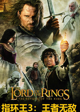 指环王3：王者无敌（普通话）