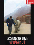 爱的教训