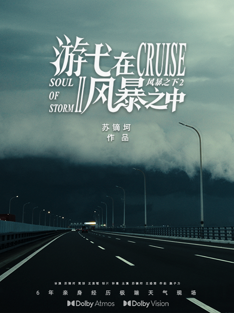 游弋在风暴之中