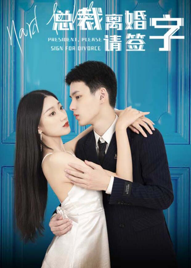 总裁离婚请签字