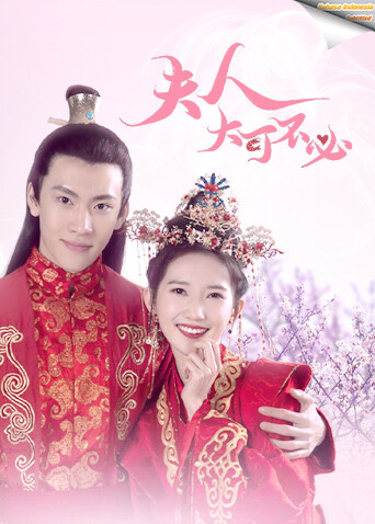 夫人，大可不必 印尼语字幕版